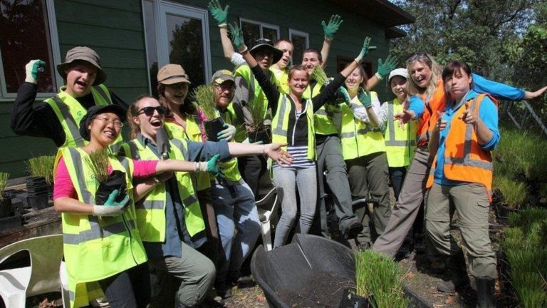 Labores de voluntariado en Nueva Zelanda